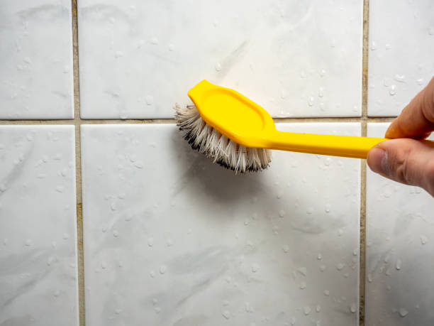 Best Commercial Mold Removal  in Minerva, OH